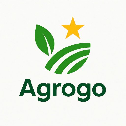 Tin tức mới nhất Yền Sào | Thiết kế độc đáo | Giải pháp bao bì cao cấp